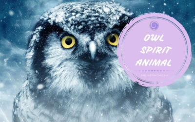 Owl Symbolism and Their Meanings in Spirituality