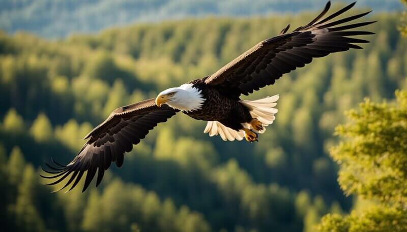 golden eagle spirit animal