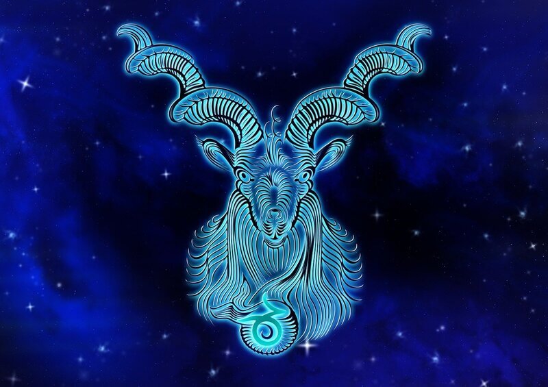 what is the capricorn spirit animal