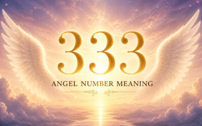 333 Angel Number Meaning