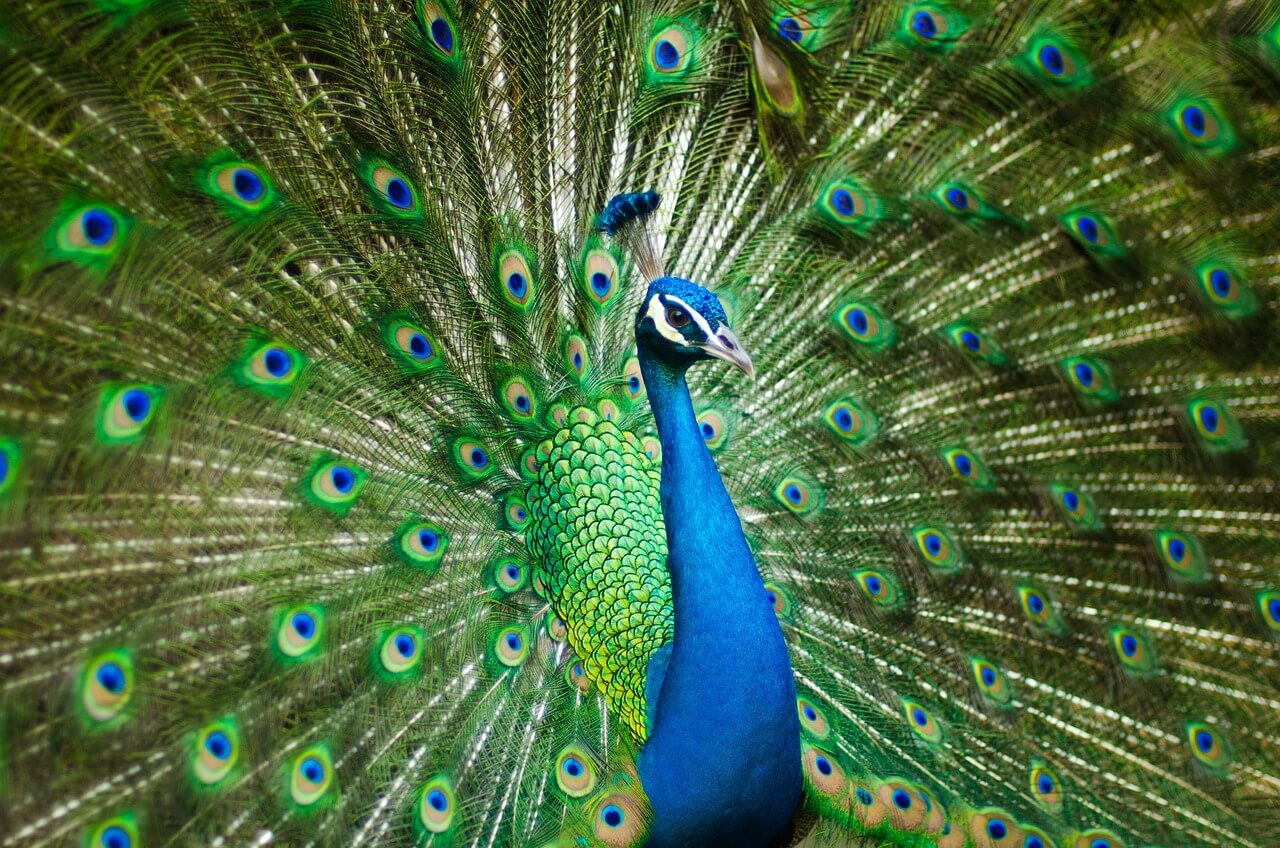 Numerology Personality Traits